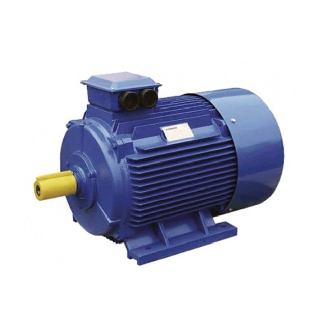 Электродвигатель VILMANN Z 180L-6 15 кВт 1000 об/мин Электродвигатель VILMANN Z 180L-6 15 кВт 1000 об/мин
